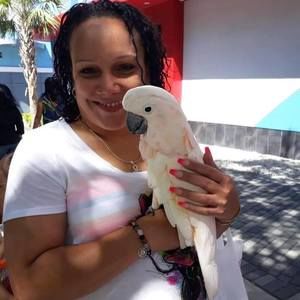 Meet your Posher, Adalys